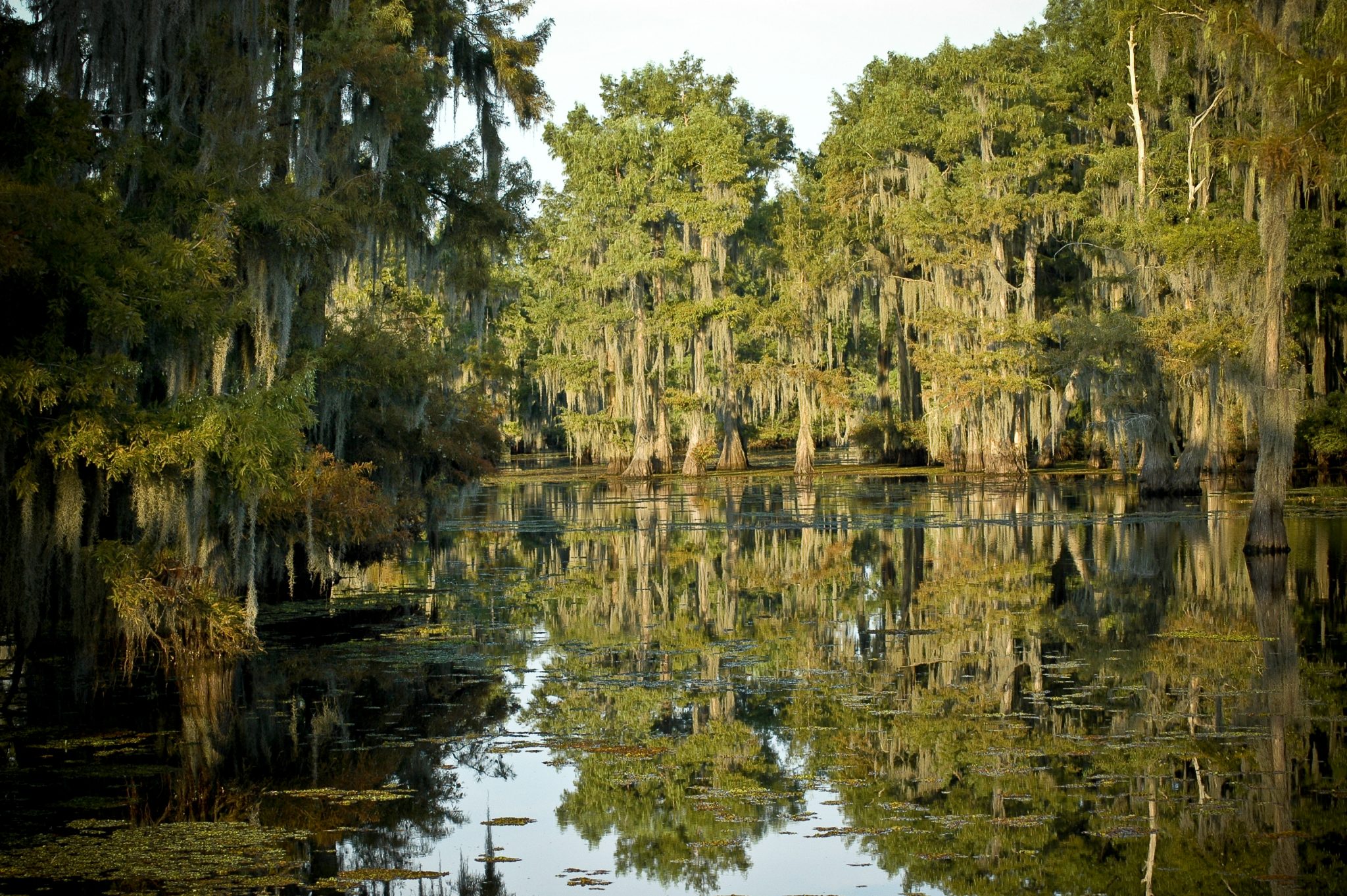 LDWF Concludes Drawdown for Lake Bistineau