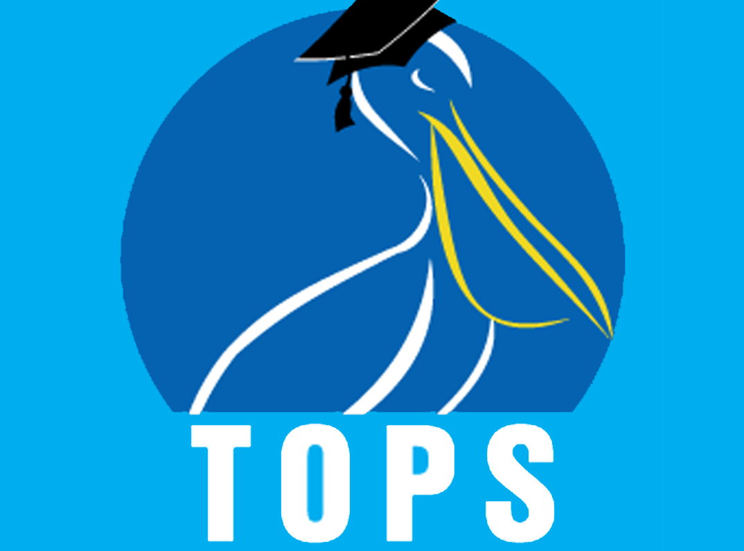 TOPS Task Force votes to reward recipients based on performance