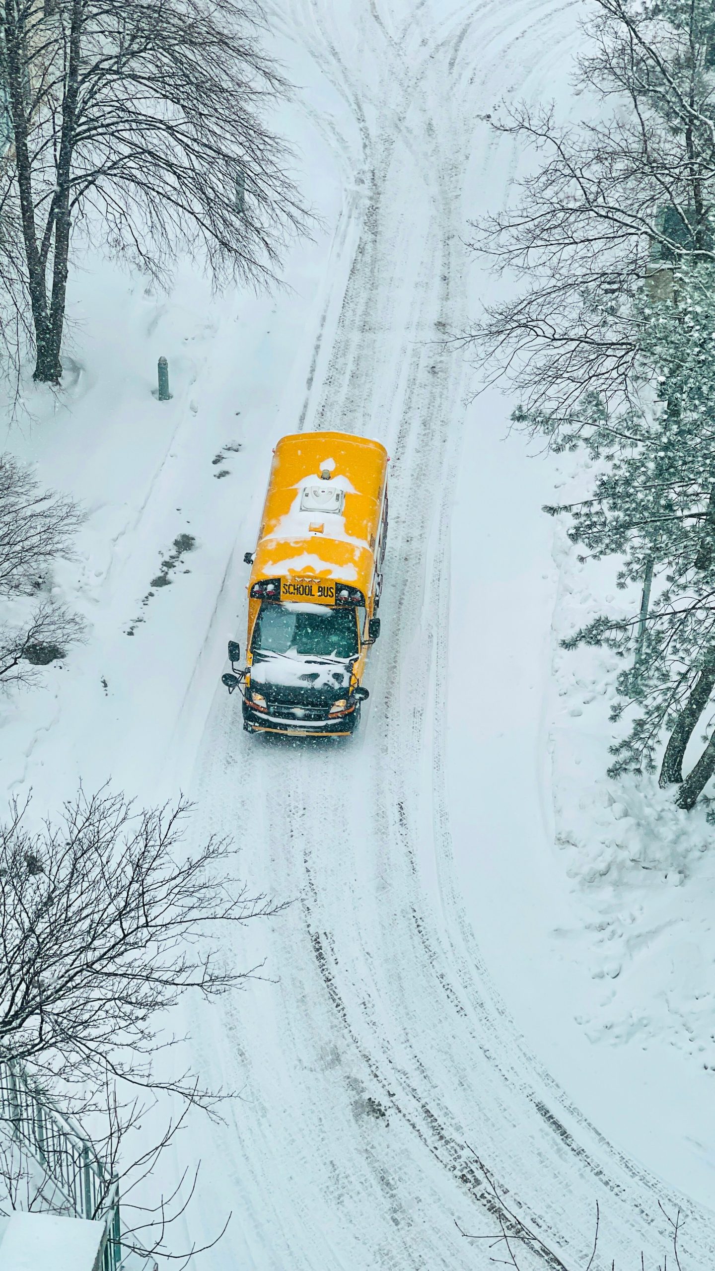 Webster Parish schools closed Friday - Minden Press-Herald