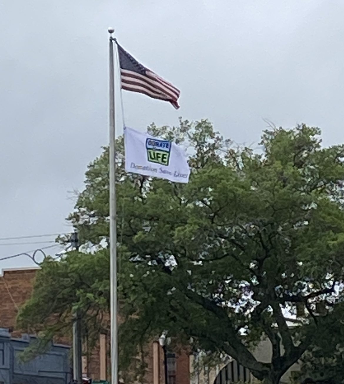 Flag Raising Honors Organ Donation - Minden Press-herald