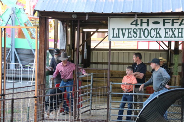 Williams Chapter No. 173 to host Fall Festival on October 31 – Minden ...